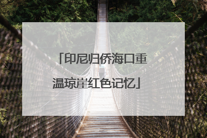 印尼归侨海口重温琼崖红色记忆