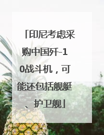 印尼考虑采购中国歼-10战斗机，可能还包括舰艇、护卫舰