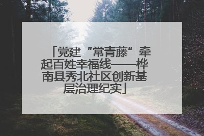 党建“常青藤”牵起百姓幸福线——桦南县秀北社区创新基层治理纪实