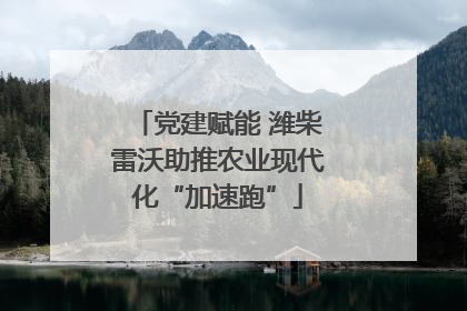党建赋能 潍柴雷沃助推农业现代化“加速跑”