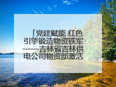 党建赋能 红色引擎锻造物资铁军——吉林省吉林供电公司物资部激活供应链新动能