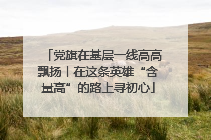 党旗在基层一线高高飘扬丨在这条英雄“含量高”的路上寻初心