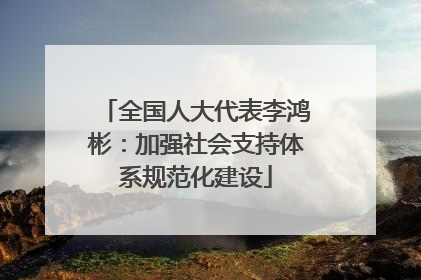 全国人大代表李鸿彬：加强社会支持体系规范化建设
