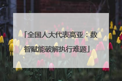 全国人大代表高亚：数智赋能破解执行难题