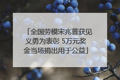 全国劳模宋兆普获见义勇为表彰 5万元奖金当场捐出用于公益