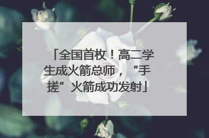 全国首枚！高二学生成火箭总师，“手搓”火箭成功发射