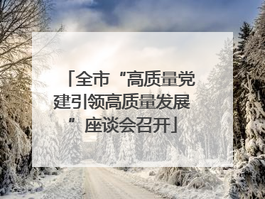 全市“高质量党建引领高质量发展”座谈会召开