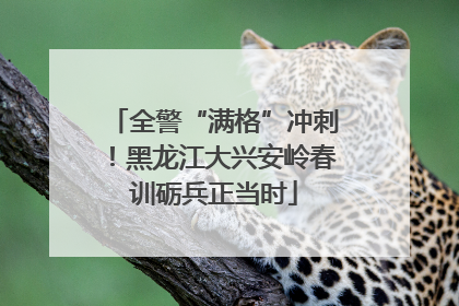 全警“满格”冲刺！黑龙江大兴安岭春训砺兵正当时