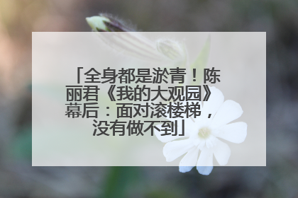 全身都是淤青！陈丽君《我的大观园》幕后：面对滚楼梯，没有做不到