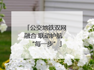 公交地铁双网融合 联动护航“每一步”
