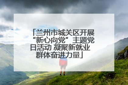 兰州市城关区开展“新心向党”主题党日活动 凝聚新就业群体奋进力量