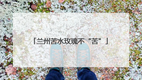 兰州苦水玫瑰不“苦”