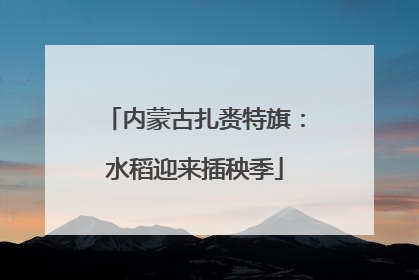 内蒙古扎赉特旗：水稻迎来插秧季