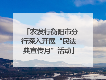 农发行衡阳市分行深入开展“民法典宣传月”活动