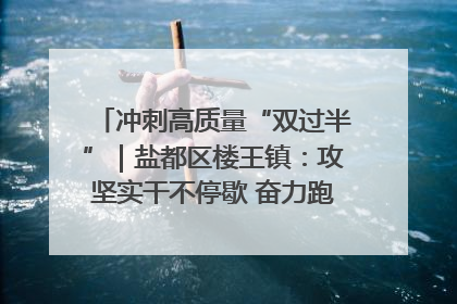 冲刺高质量“双过半”｜盐都区楼王镇：攻坚实干不停歇 奋力跑赢“上半场”
