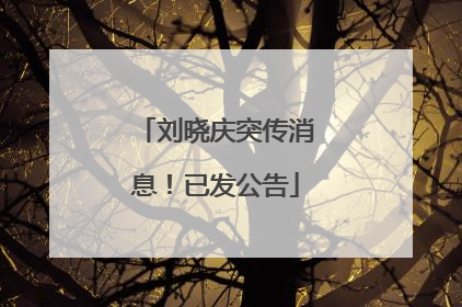 刘晓庆突传消息！已发公告