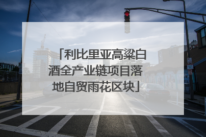 利比里亚高粱白酒全产业链项目落地自贸雨花区块
