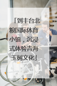 到丰台北粮国际体育小镇，沉浸式体验青海玉树文化