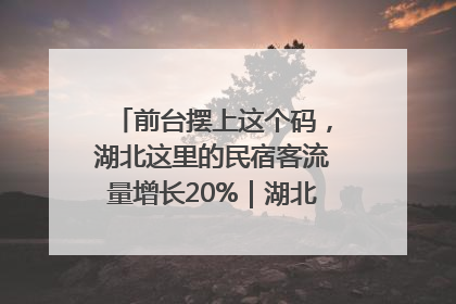 前台摆上这个码，湖北这里的民宿客流量增长20%｜湖北市场监管所的故事