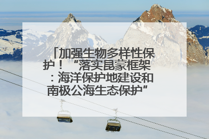 加强生物多样性保护！“落实昆蒙框架：海洋保护地建设和南极公海生态保护”主题论坛将举办