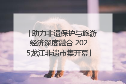 助力非遗保护与旅游经济深度融合 2025龙江非遗市集开幕