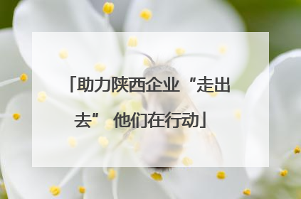 助力陕西企业“走出去” 他们在行动