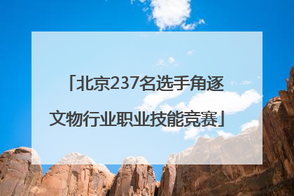 北京237名选手角逐文物行业职业技能竞赛
