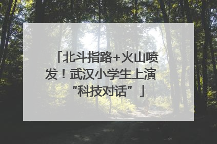 北斗指路+火山喷发！武汉小学生上演“科技对话”