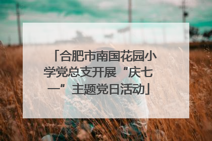 合肥市南国花园小学党总支开展“庆七一”主题党日活动