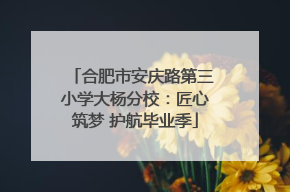 合肥市安庆路第三小学大杨分校：匠心筑梦 护航毕业季
