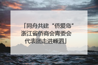 同舟共建“侨爱岛” 浙江省侨商会青委会代表团走进嵊泗