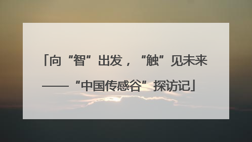 向“智”出发，“触”见未来——“中国传感谷”探访记