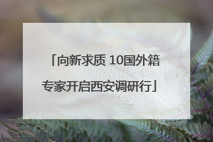 向新求质 10国外籍专家开启西安调研行