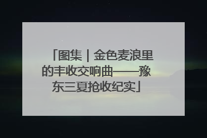 图集｜金色麦浪里的丰收交响曲——豫东三夏抢收纪实