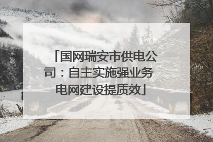 国网瑞安市供电公司：自主实施强业务 电网建设提质效