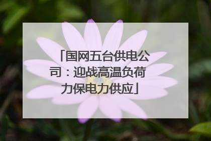 国网五台供电公司：迎战高温负荷 力保电力供应