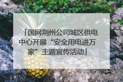 国网荆州公司城区供电中心开展“安全用电进万家”主题宣传活动