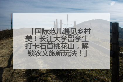 国际范儿遇见乡村美！长江大学留学生打卡石首桃花山，解锁农文旅新玩法！