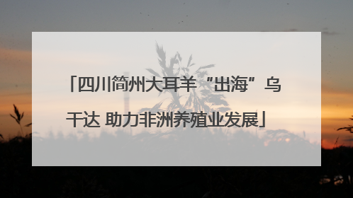 四川简州大耳羊“出海”乌干达 助力非洲养殖业发展