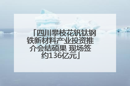 四川攀枝花钒钛钢铁新材料产业投资推介会结硕果 现场签约136亿元