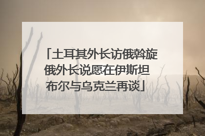 土耳其外长访俄斡旋 俄外长说愿在伊斯坦布尔与乌克兰再谈