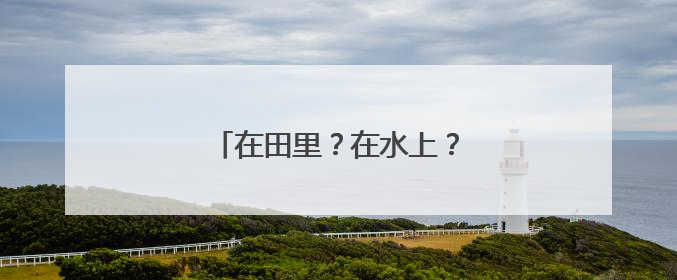 在田里？在水上？瑜伽还能这样练