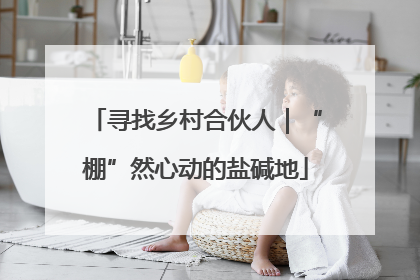 寻找乡村合伙人｜“棚”然心动的盐碱地