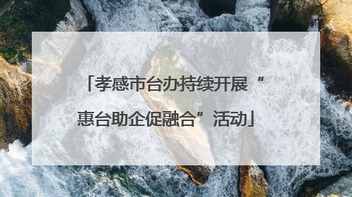 孝感市台办持续开展“惠台助企促融合”活动