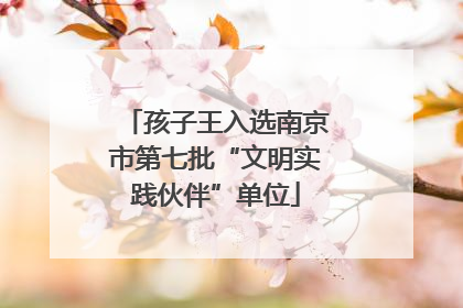 孩子王入选南京市第七批“文明实践伙伴”单位