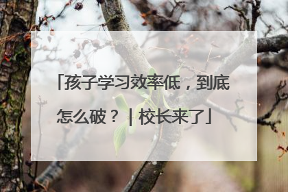 孩子学习效率低，到底怎么破？｜校长来了