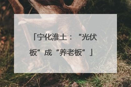 宁化淮土：“光伏板”成“养老板”