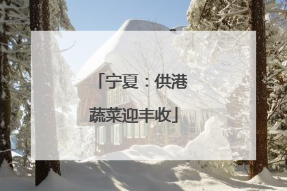 宁夏：供港蔬菜迎丰收