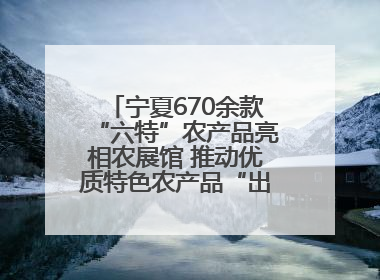 宁夏670余款“六特”农产品亮相农展馆 推动优质特色农产品“出宁进京”
