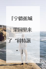 宁德蕉城：果园里来了“科特派”